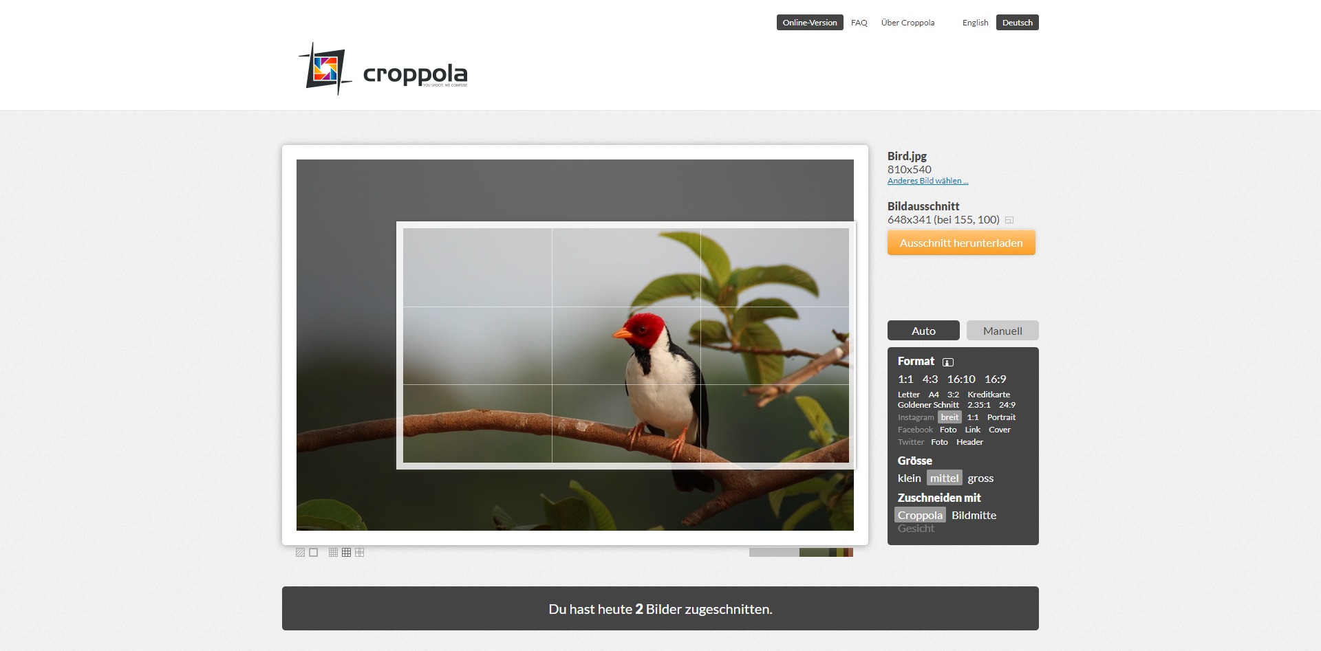 Die 10 beliebtesten online image cropper 2025 