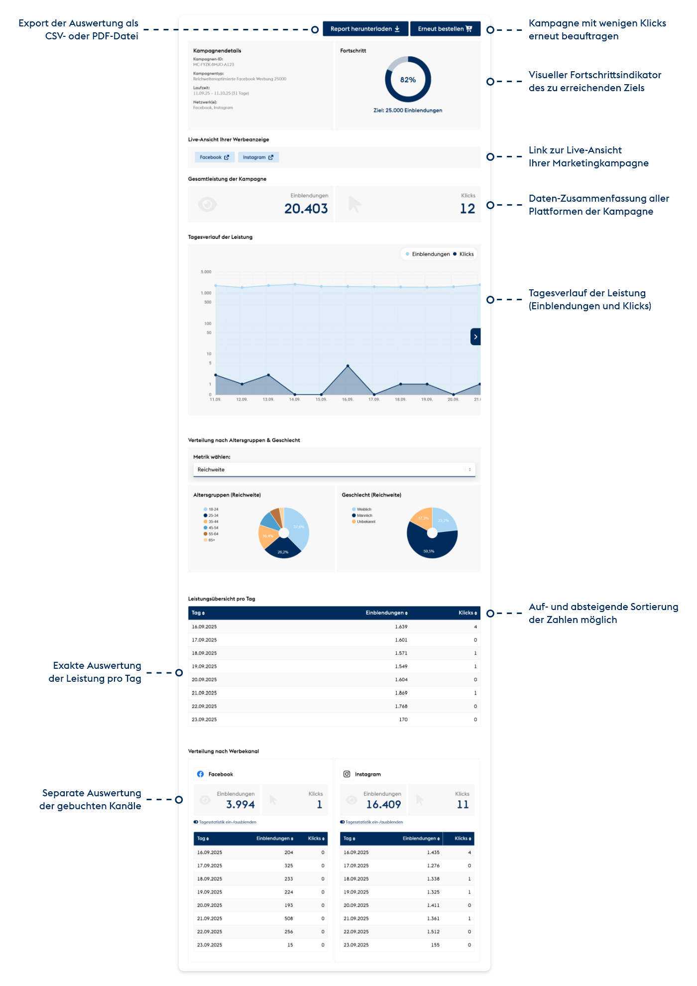 Dashboard Werbekampagne (Beispiel)
